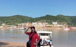 野花免费观看高清在线下载